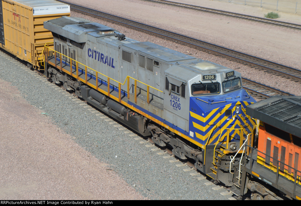 CREX 1206